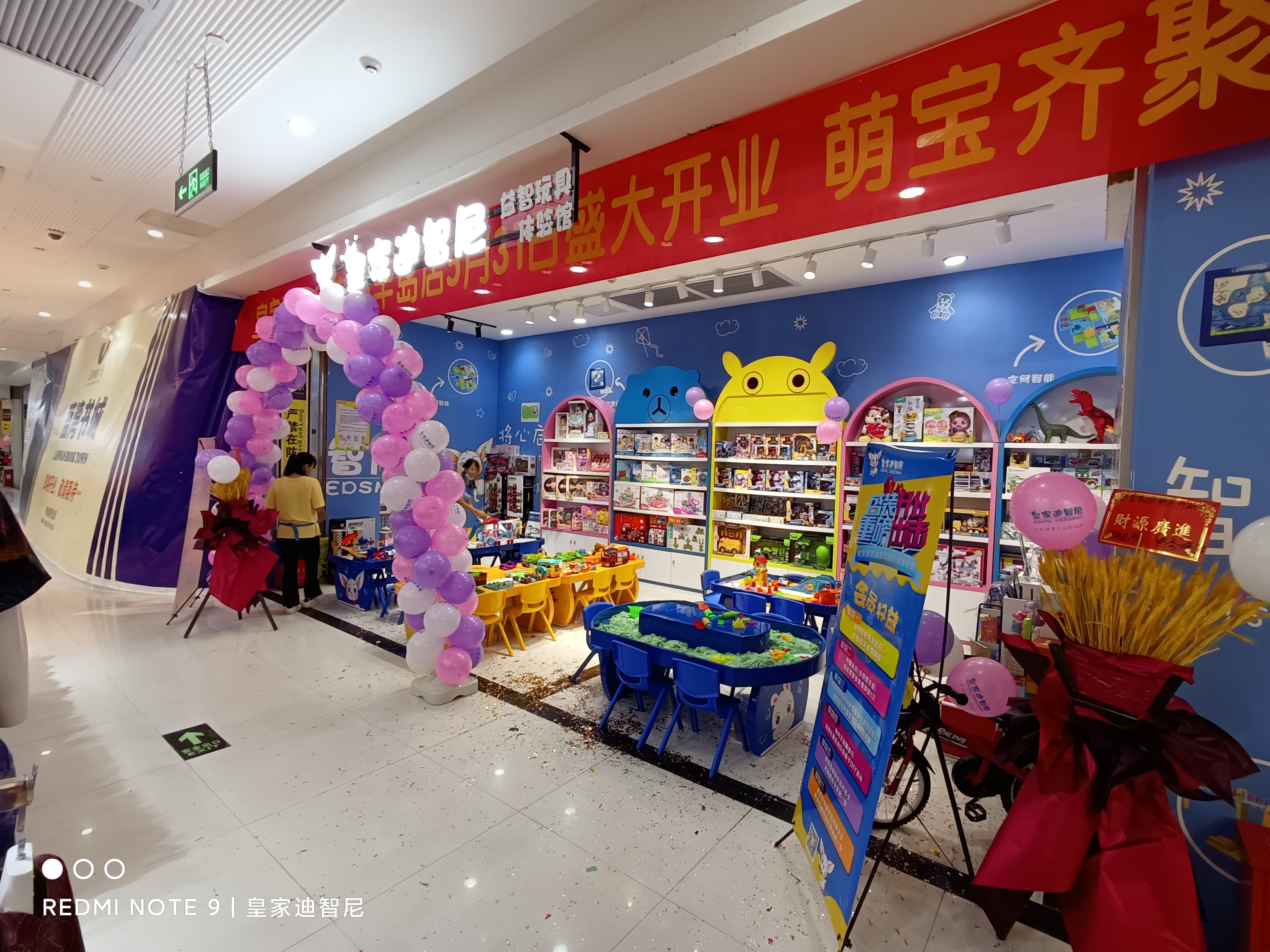 益智玩具加盟为什么选择皇家迪智尼?