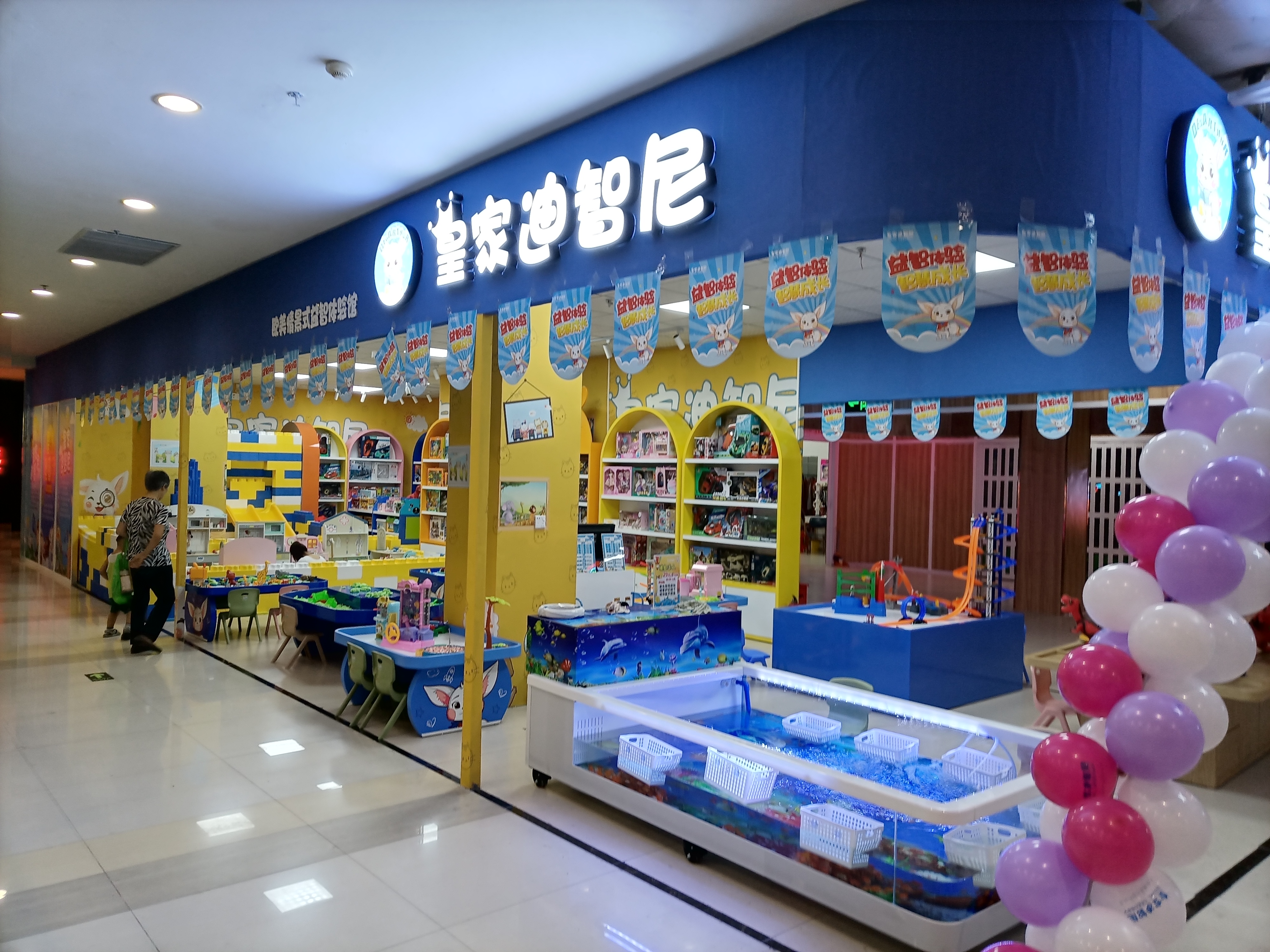 皇家迪智尼益智玩具加盟总部极力打造“玩、教、娱”三大产业