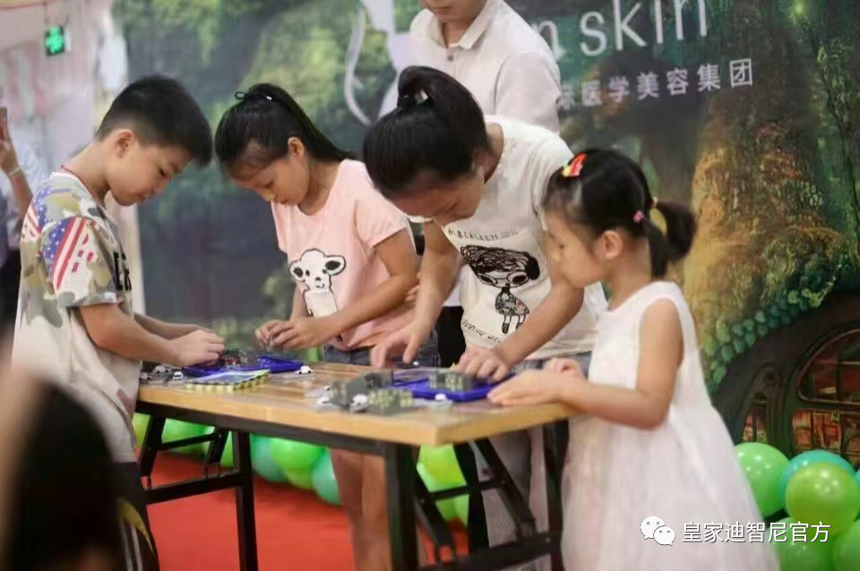 皇家迪智尼 I 三步就能够学会，分辨益智玩具的技巧！！