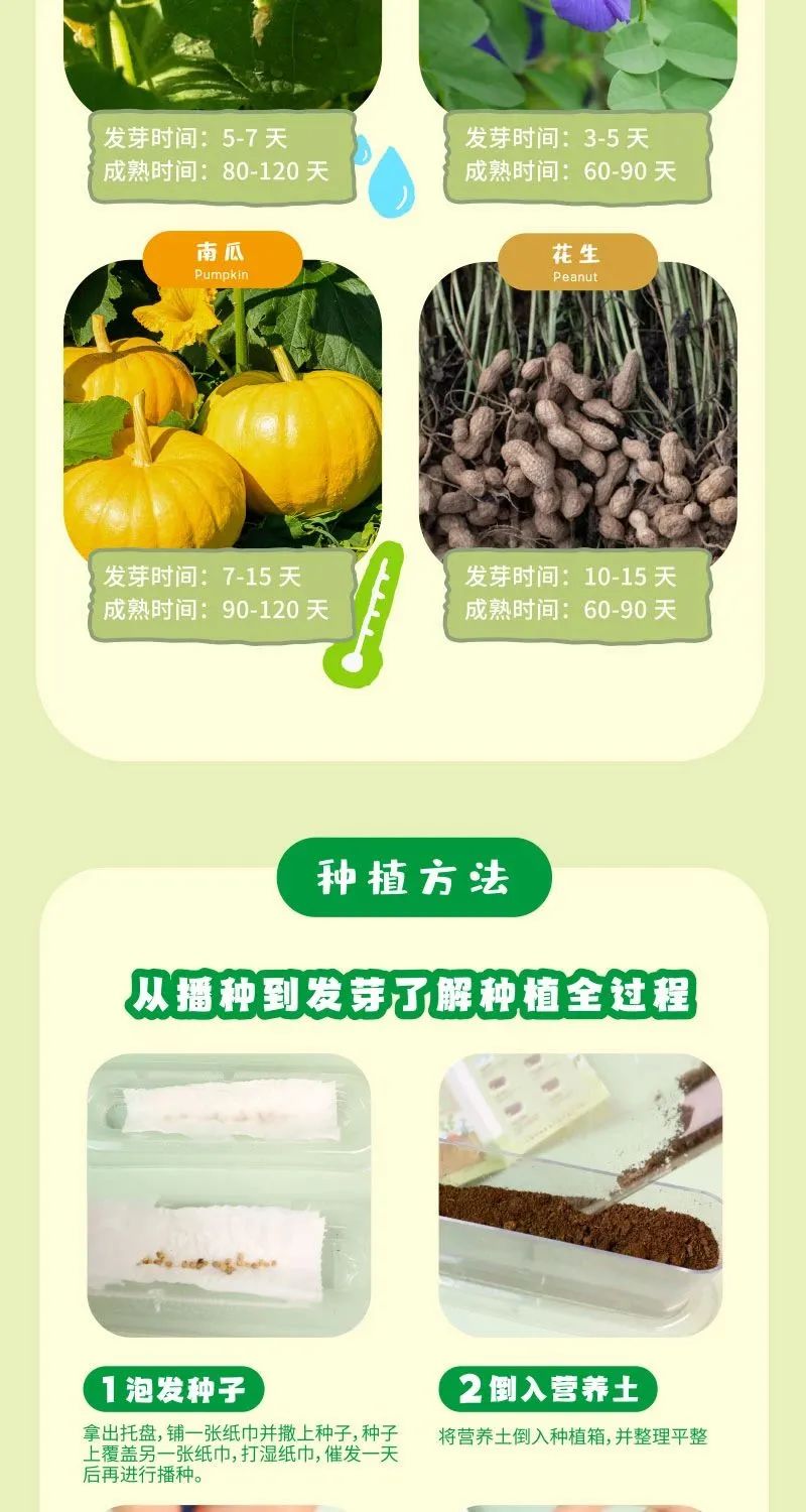 皇家迪智尼 I 儿童益智手工家庭园艺，爆款类手工种植攻略！