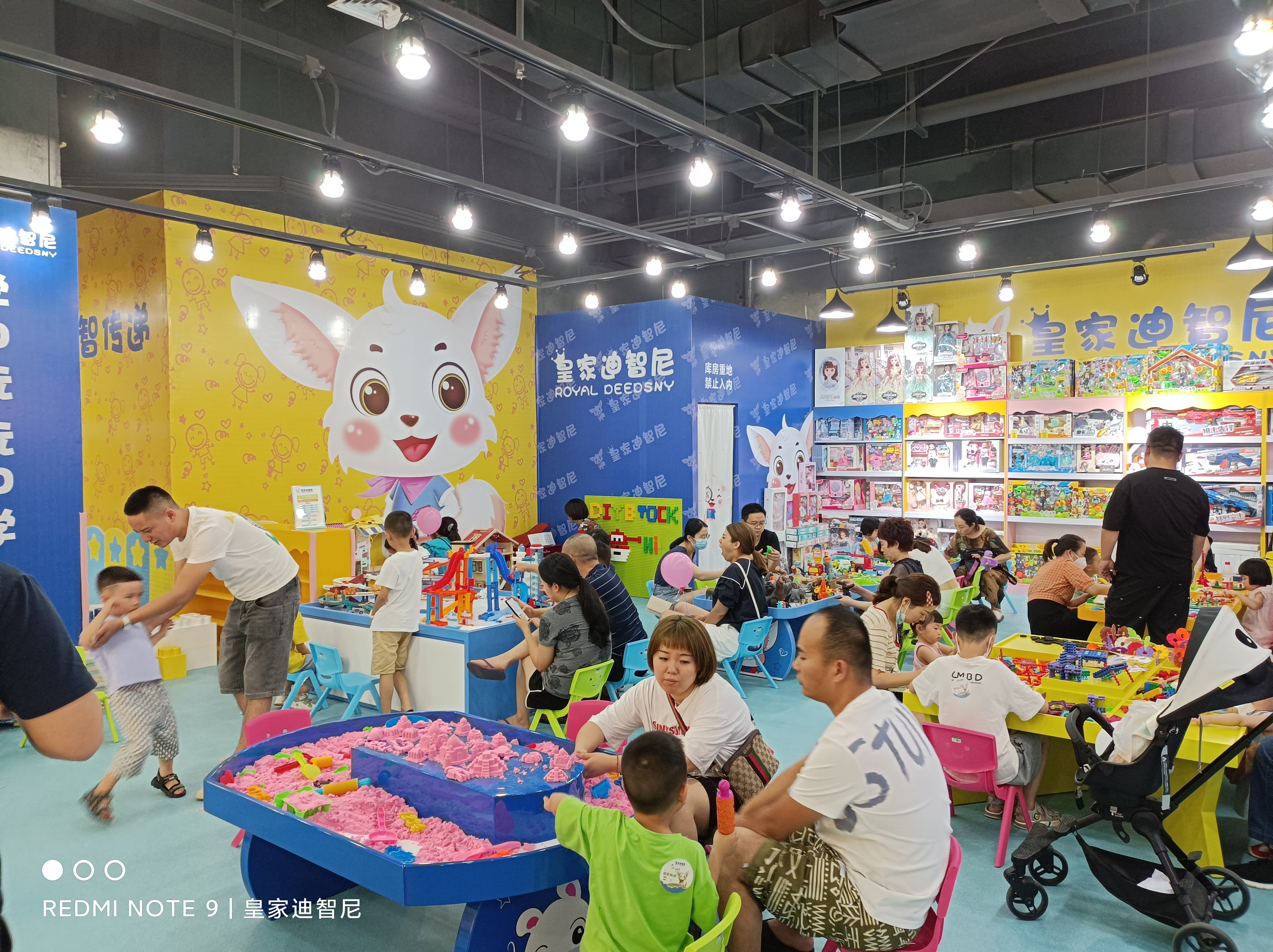 皇家迪智尼 I 如何有效控制成本是提高盈利能力的关键！