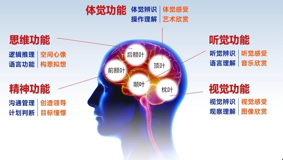 皇家迪智尼 I 指纹天赋测评适用哪些人群？