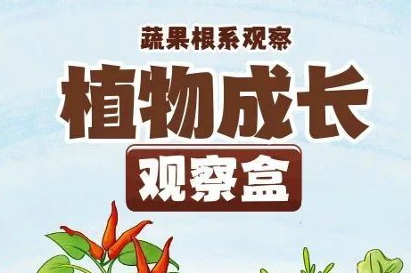皇家迪智尼 I 儿童益智手工家庭园艺，爆款类手工种植攻略！